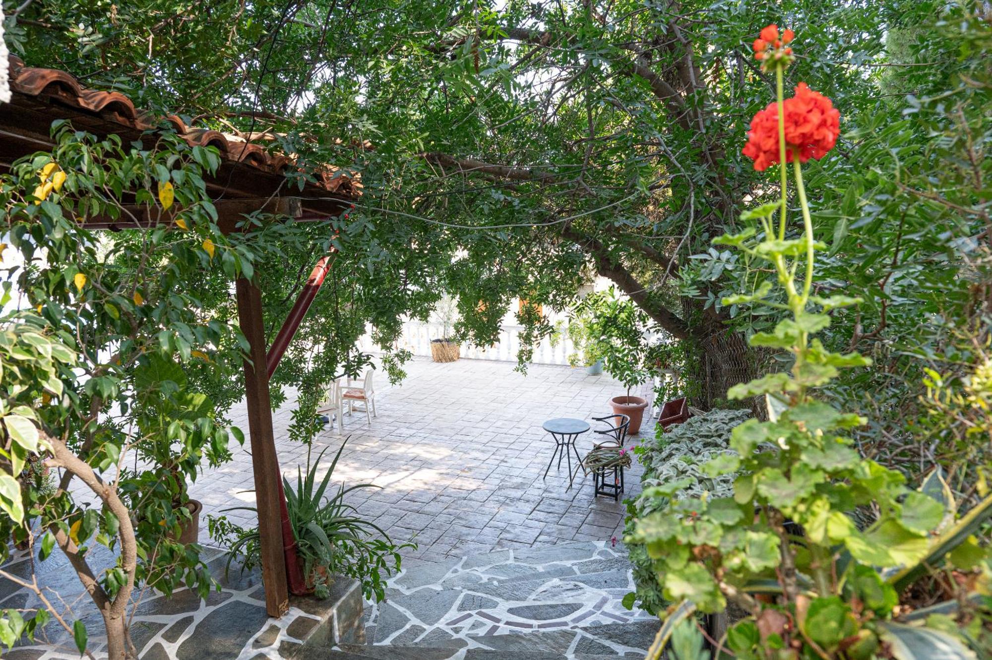 Lions 2 Studios & Apartments, Poros Island. Poros Town المظهر الخارجي الصورة
